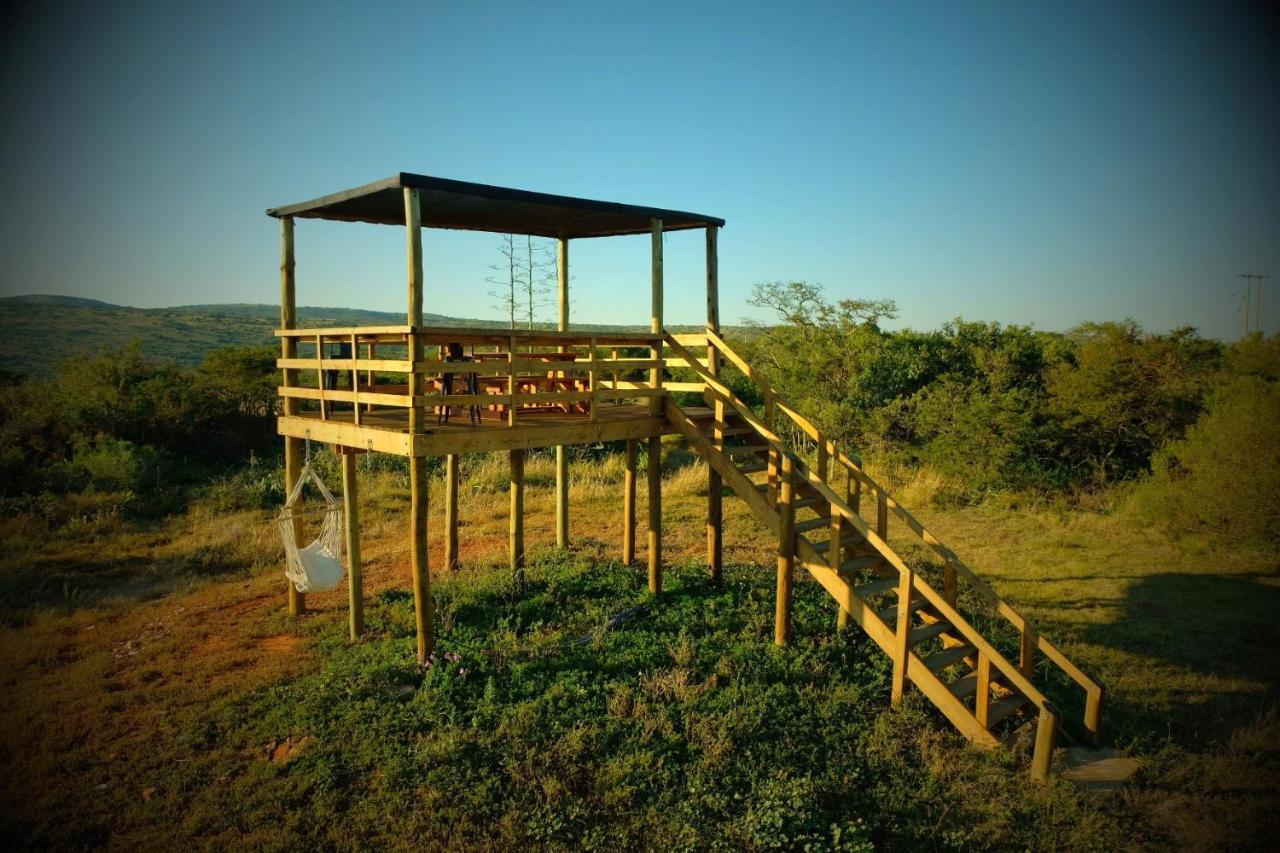 Seven Fountains Farm Hotell Grahamstown Exteriör bild