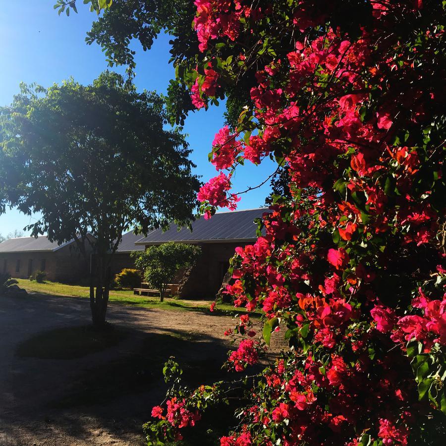 Seven Fountains Farm Hotell Grahamstown Exteriör bild