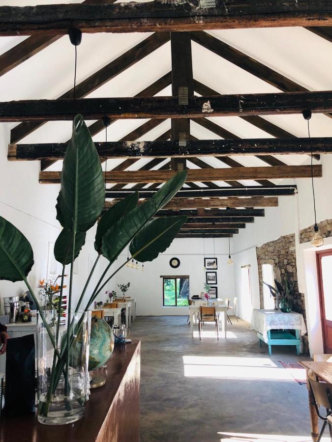 Seven Fountains Farm Hotell Grahamstown Exteriör bild
